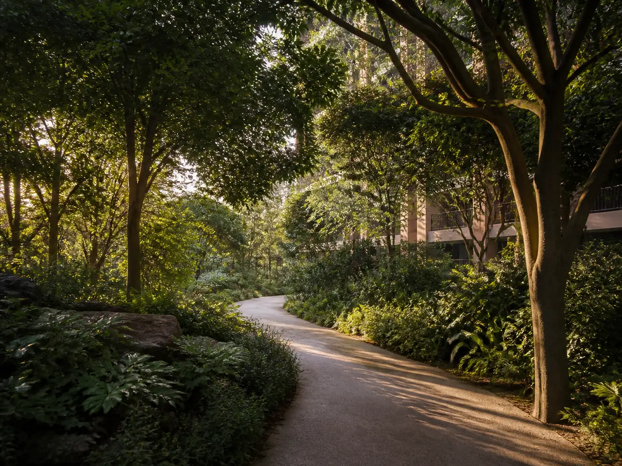Shaded walking path beneath a dense tree canopy